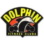 @dolphinfitness profile picture