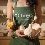 @haveustudio profile picture