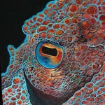 @inflicted1 profile picture