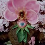 @lathe.of.heaven profile picture
