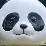 @mandapandie profile picture