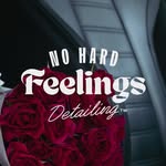 @nohardfeelingsdetailing profile picture